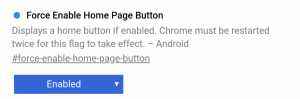 Google Chrome Home Button