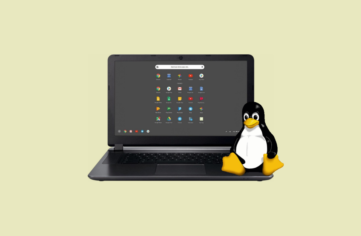 Chrome OS, Linux apps, Chromebook, Crostini