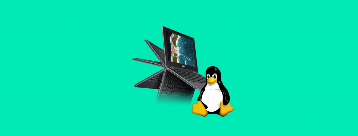 Apollo Lake Chromebooks get Linux app support