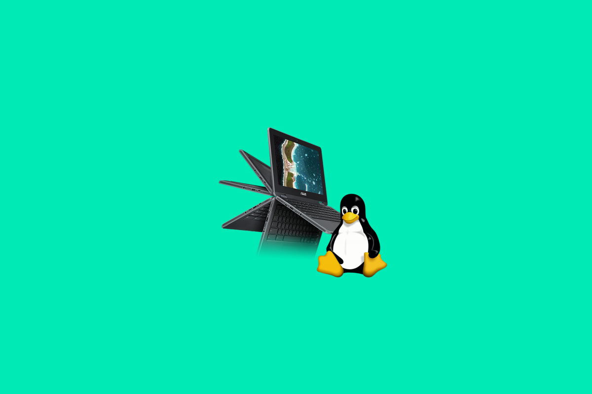 Proyecto Chromebooks Chrome OS Linux Crostini