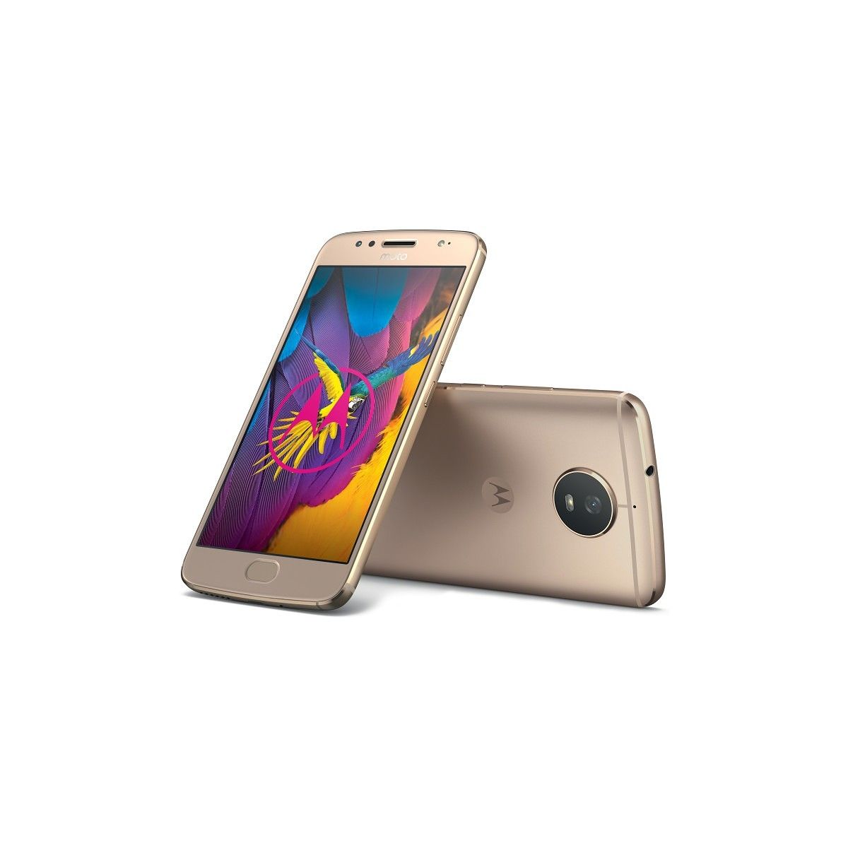 Moto G5S Android Oreo