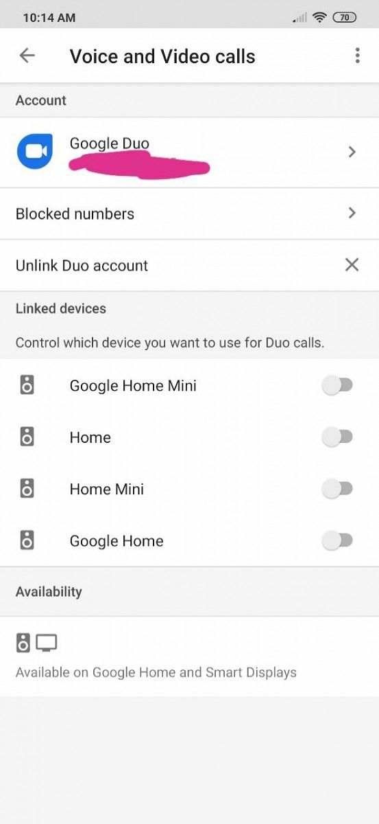 Google 2024 duo home