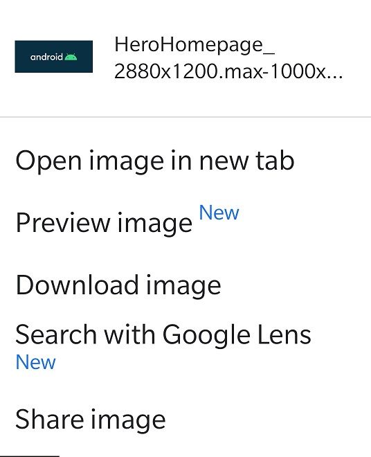 Search with Google Lens