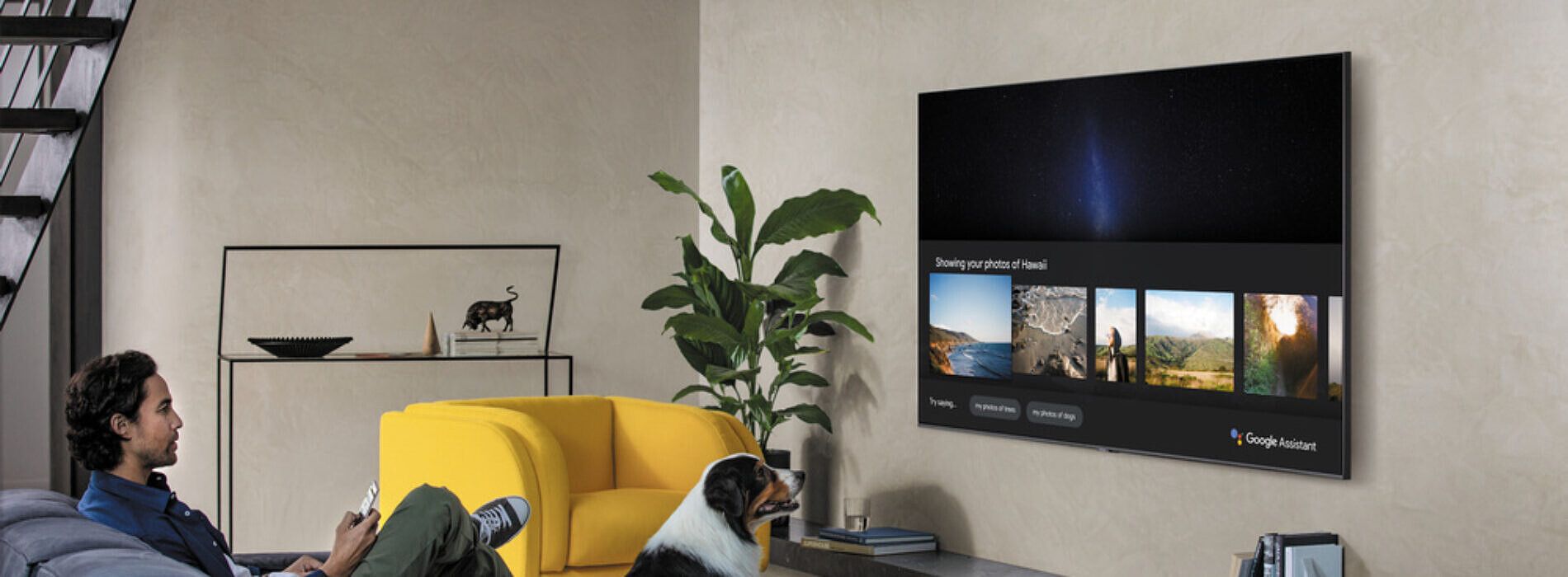 Samsung tv голосовое управление. Samsung Tizen 2020 телевизор. Samsung Tizen Home Assistant. Home Assistant Samsung TV. Модели ТВ самсунг с гугл ТВ.