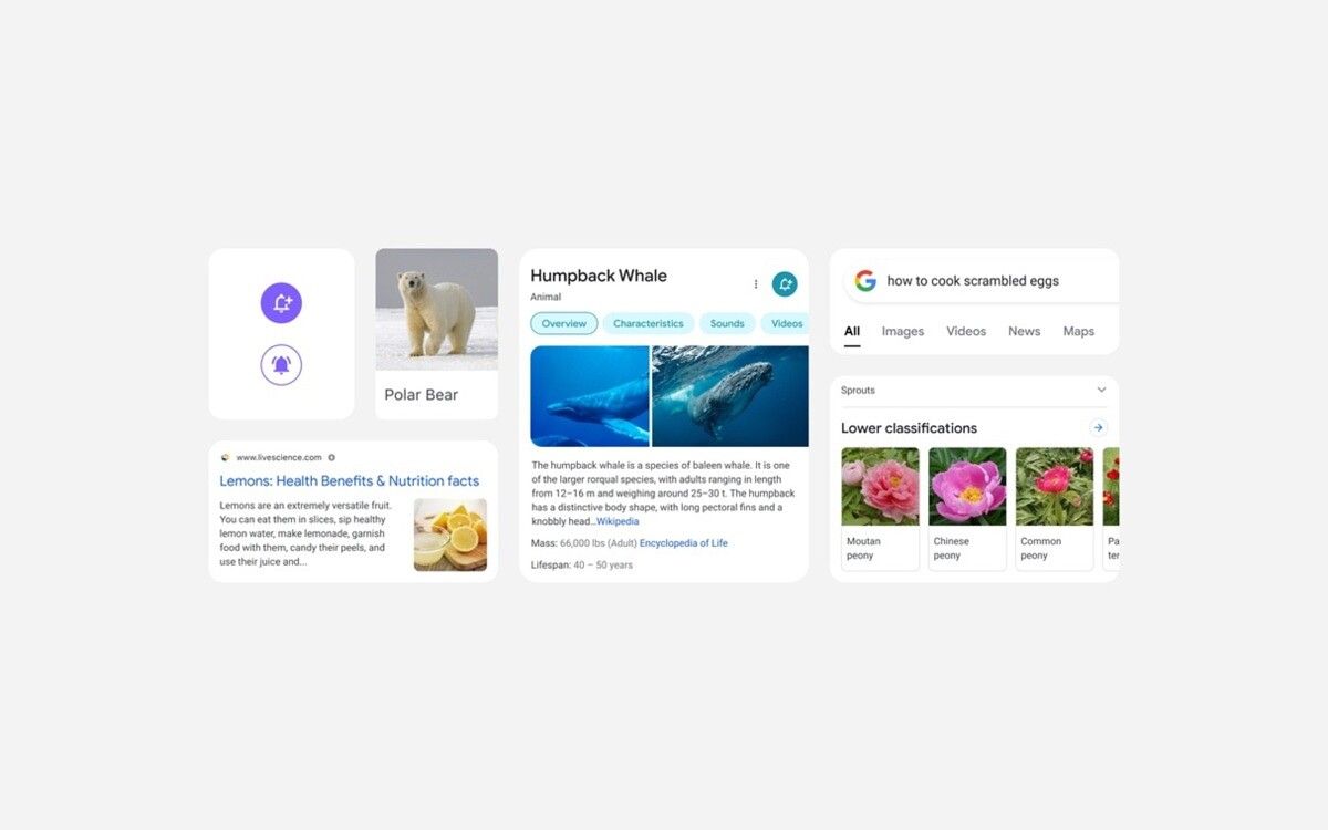 Google Search redesign featured