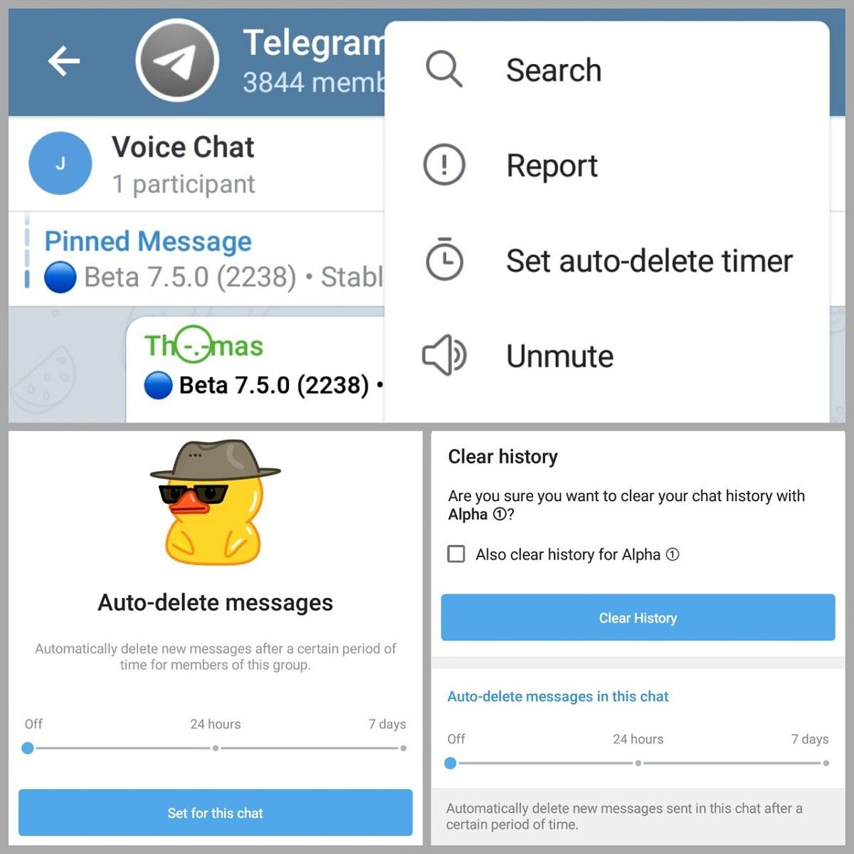 Telegram Auto-delete timer for admins