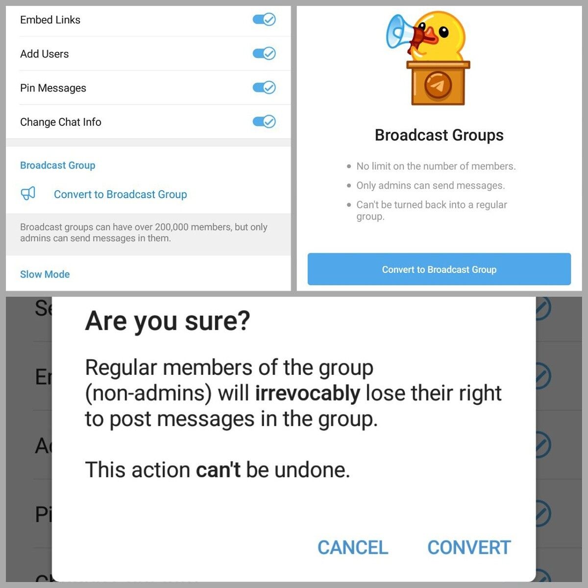 Telegram Broadcast groups
