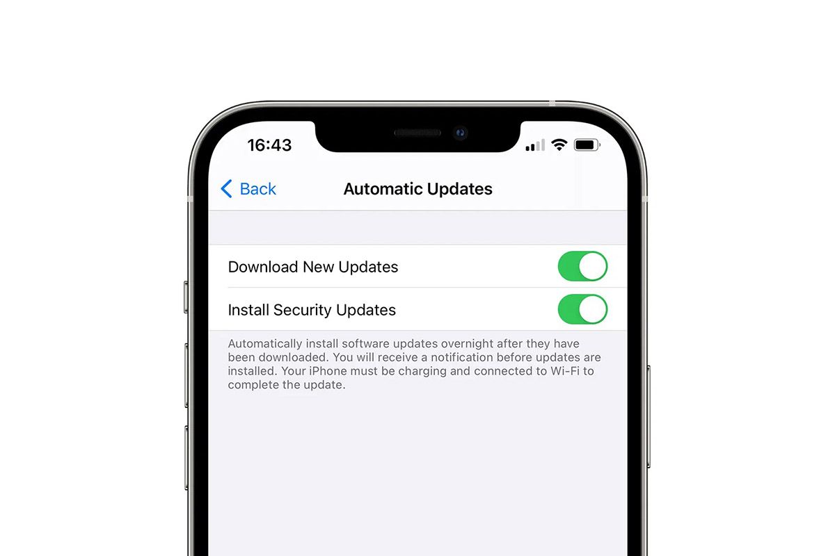 iOS security update option