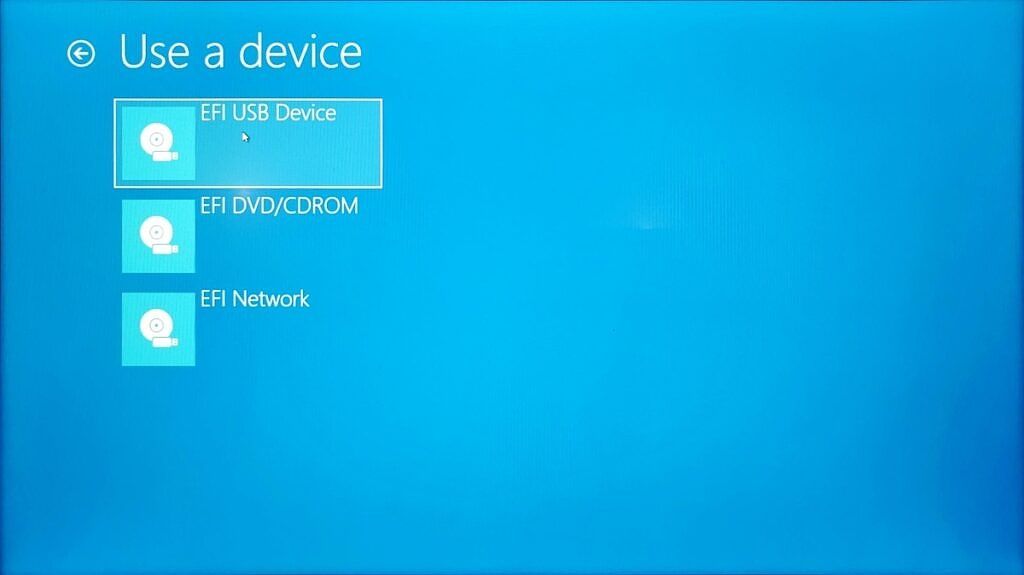 Selecting a device in the Windows advanced startup list