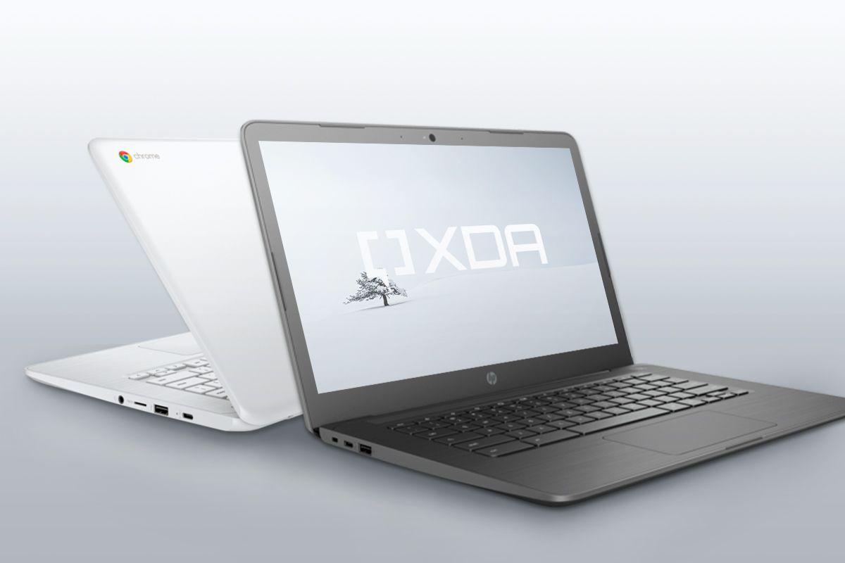 HP Chromebooks on gray background