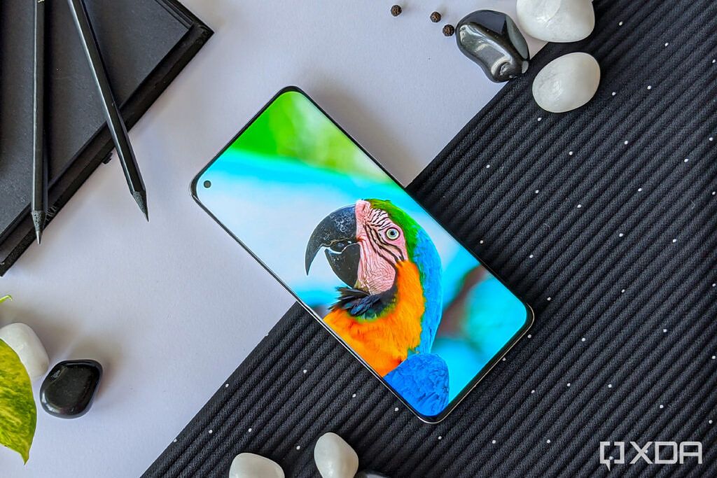 Xiaomi Mi 11 Ultra display showing a colorful bird