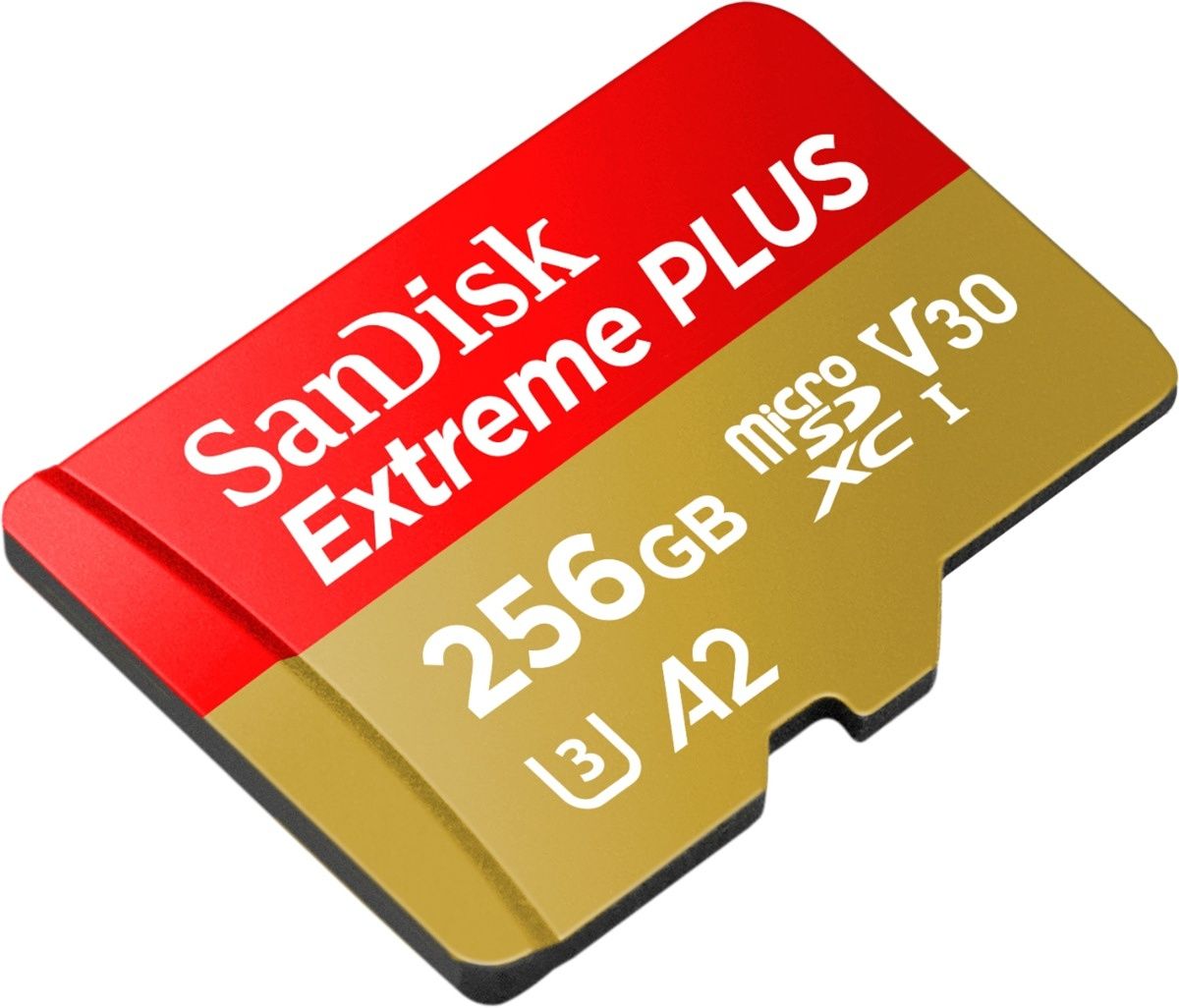 Western Digital (и ее дочерняя компания SanDisk) проводят однодневную распродажу SD-карт, флэш-накопителей, твердотельных накопителей, жестких дисков и многого другого.