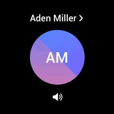 samsung watch walkie talkie app