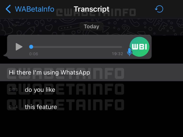 WhatsApp transcript section