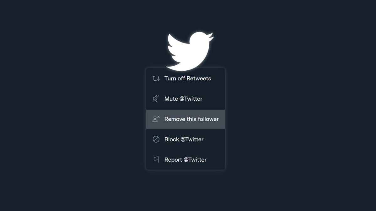 Twitter remove follower