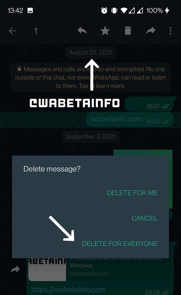 WhatsApp screenshot showing a &quot;delete for everyone&quot; button on a message from September