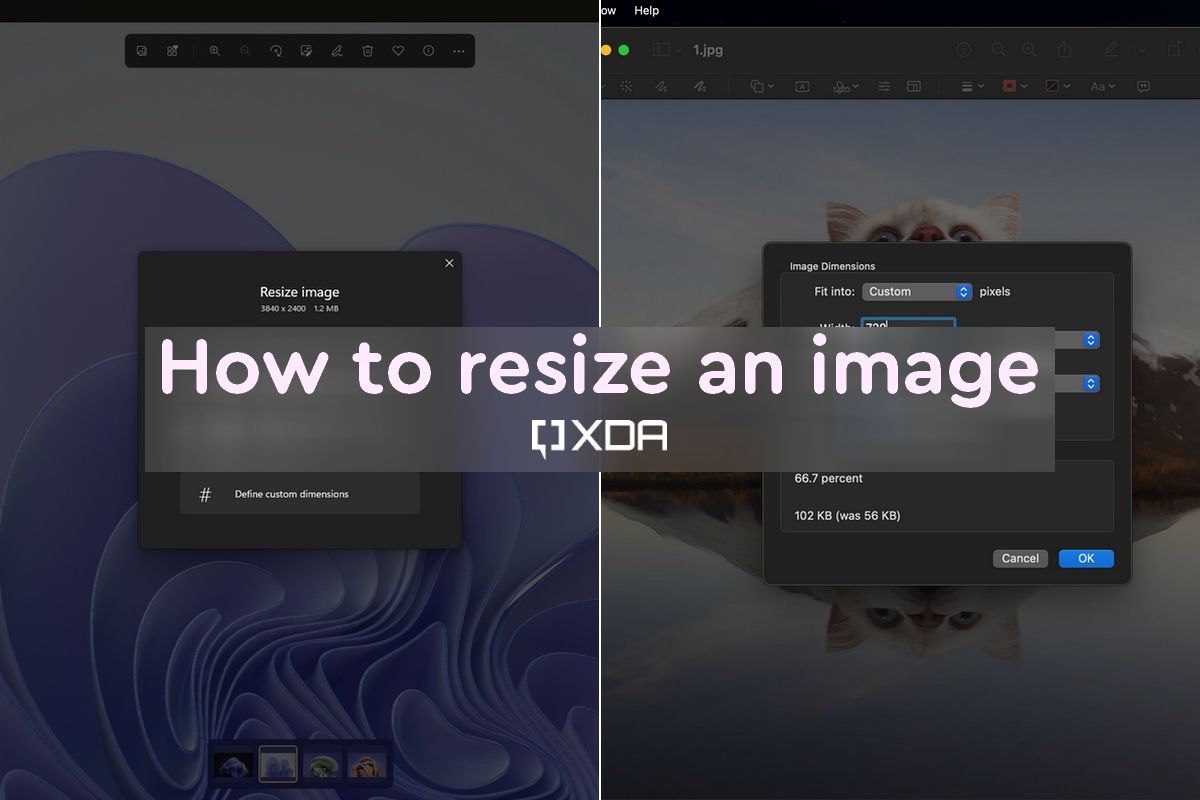 How to resize an image on your Windows PC or Mac