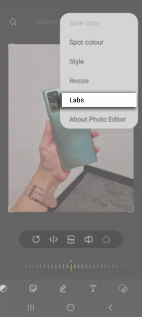 Labs option in Gallery app