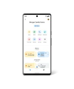 Google Home main screen shown on a Pixel phone
