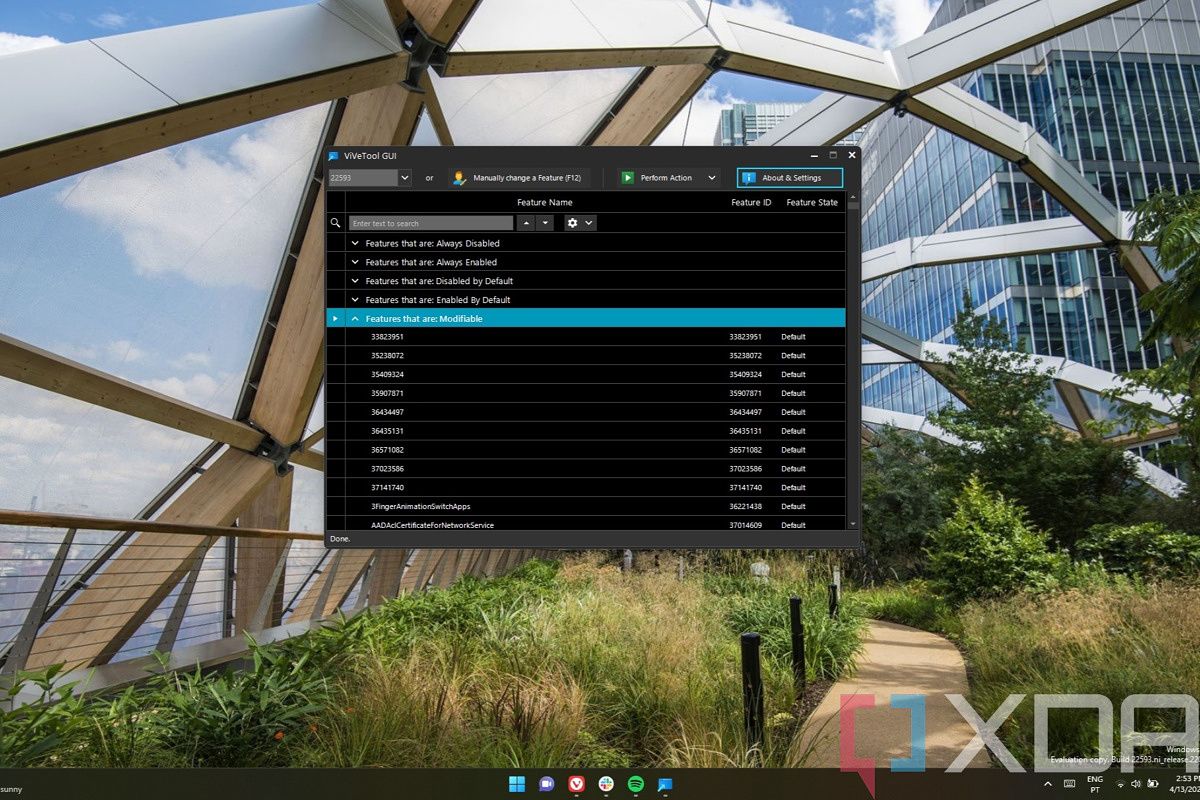 ViVeTool GUI on Windows 11