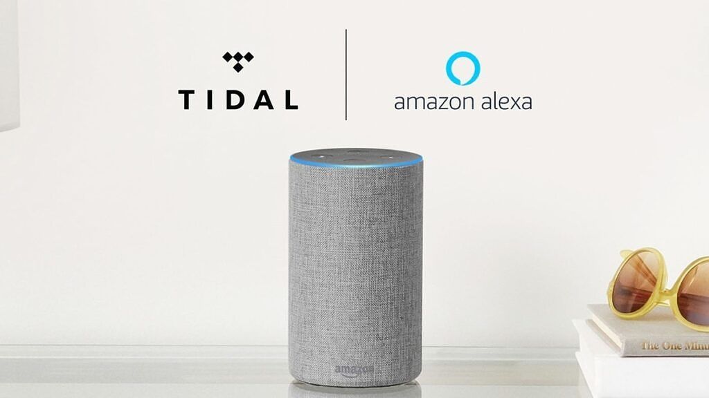 Amazon echo music store services