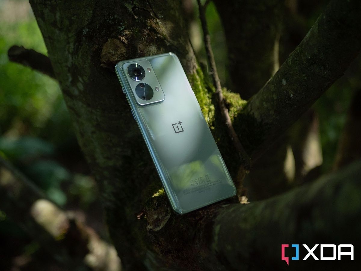 OnePlus Nord 2T on a tree