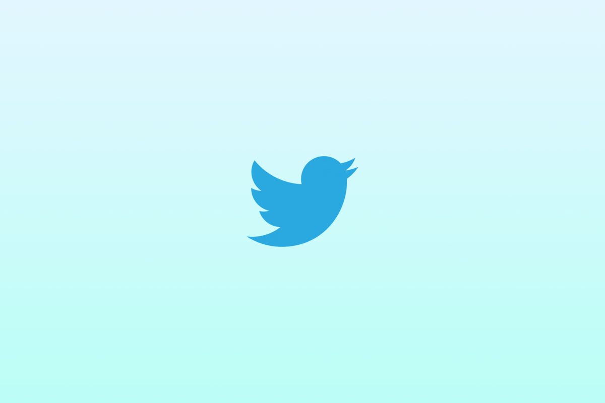 Twitter logo shown on a light blue background