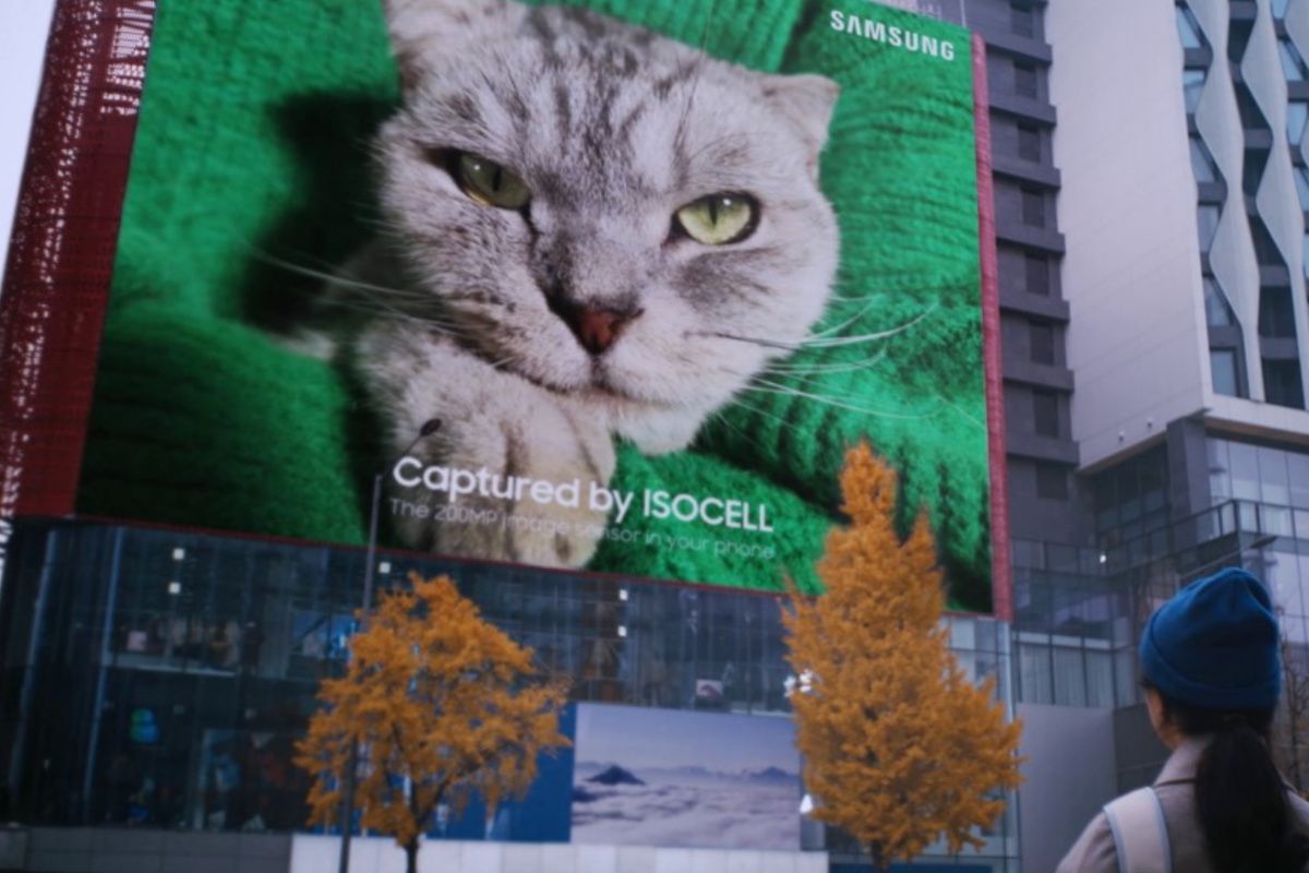 Samsung 200MP sensor demo with large cat poster on a building