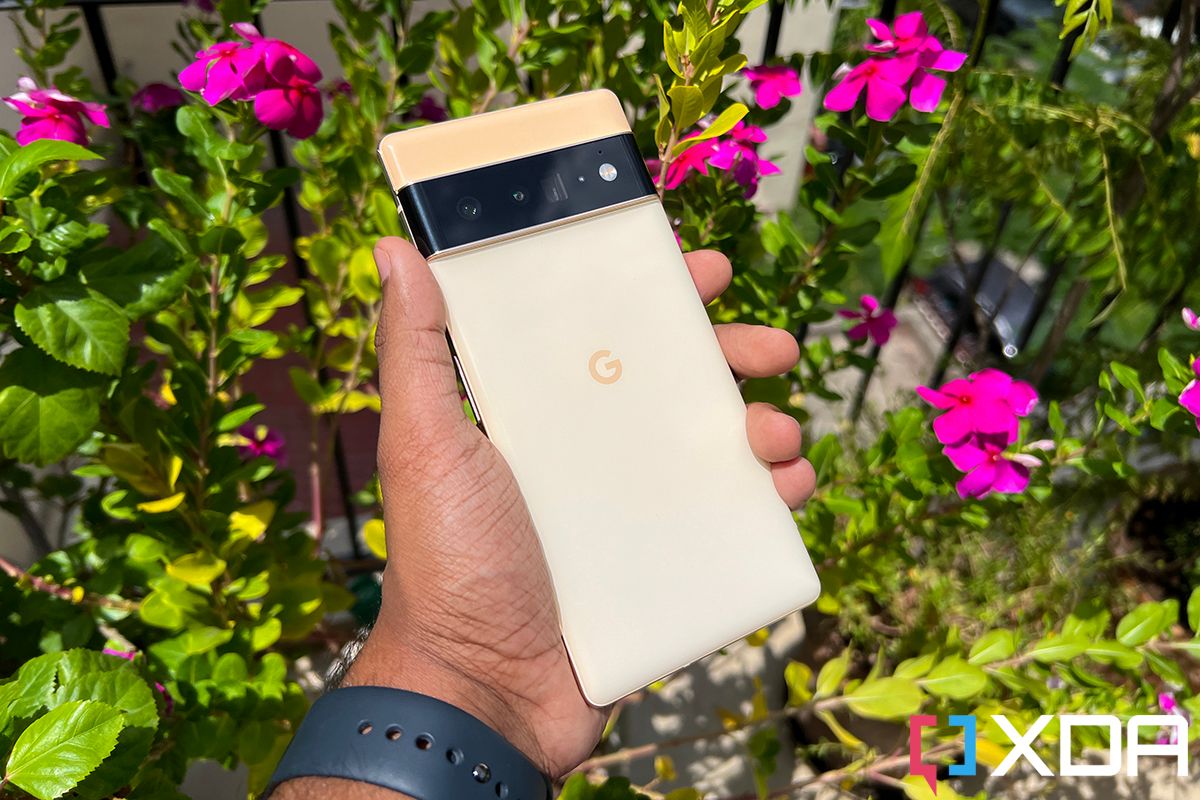 Google Pixel 6 Pro smartphone held out in the hand, with a foliage of shrubs and flowers in the background