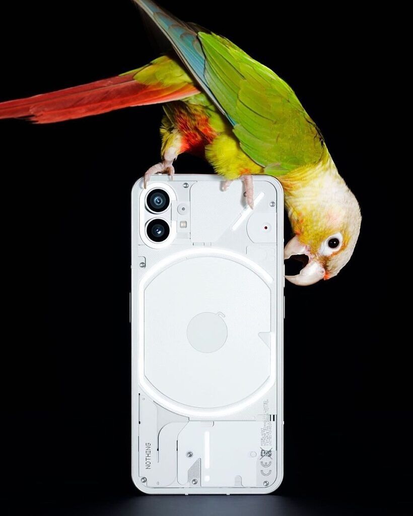 White Nothing Phone 1 on black background with bird sitting on the phone.