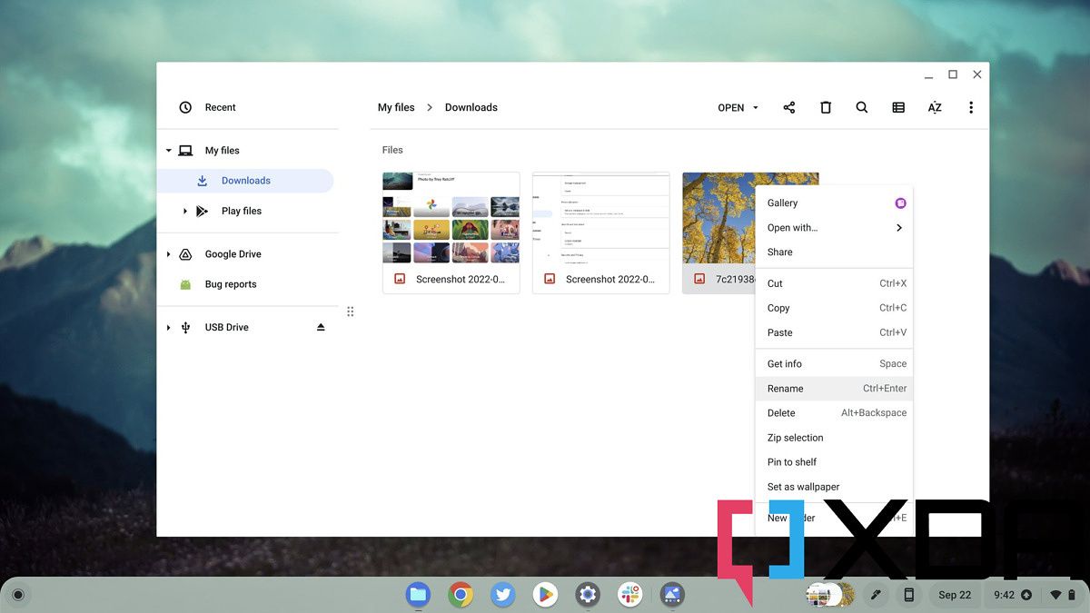 How to change the wallpaper on your Chromebook