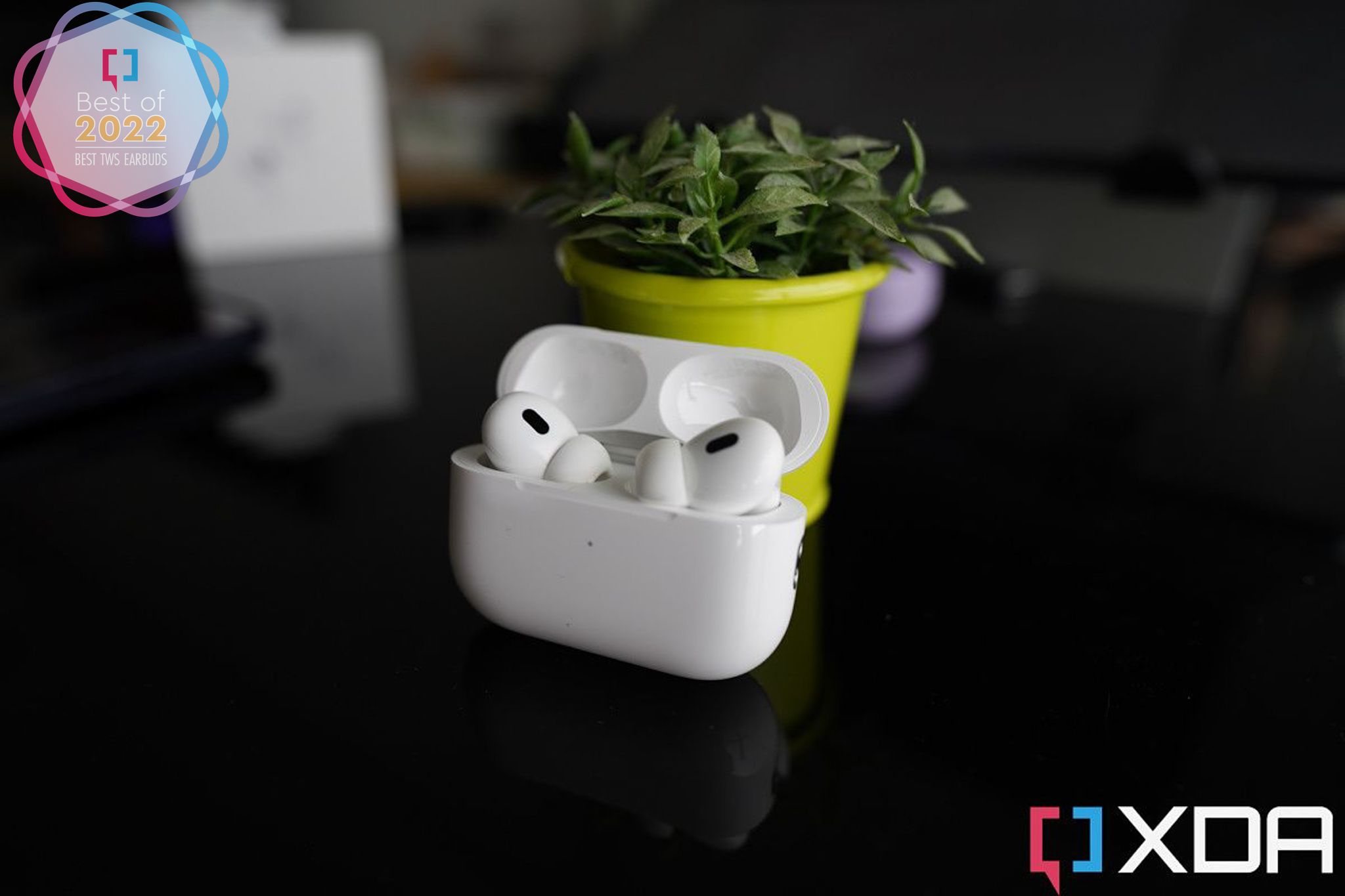 AirPods Pro 2 in their case on a table next to a plant