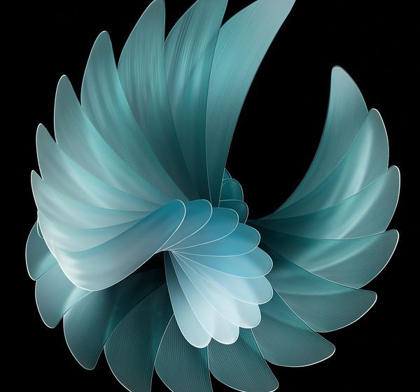 Download all the new Oppo Find N2 series wallpapers here