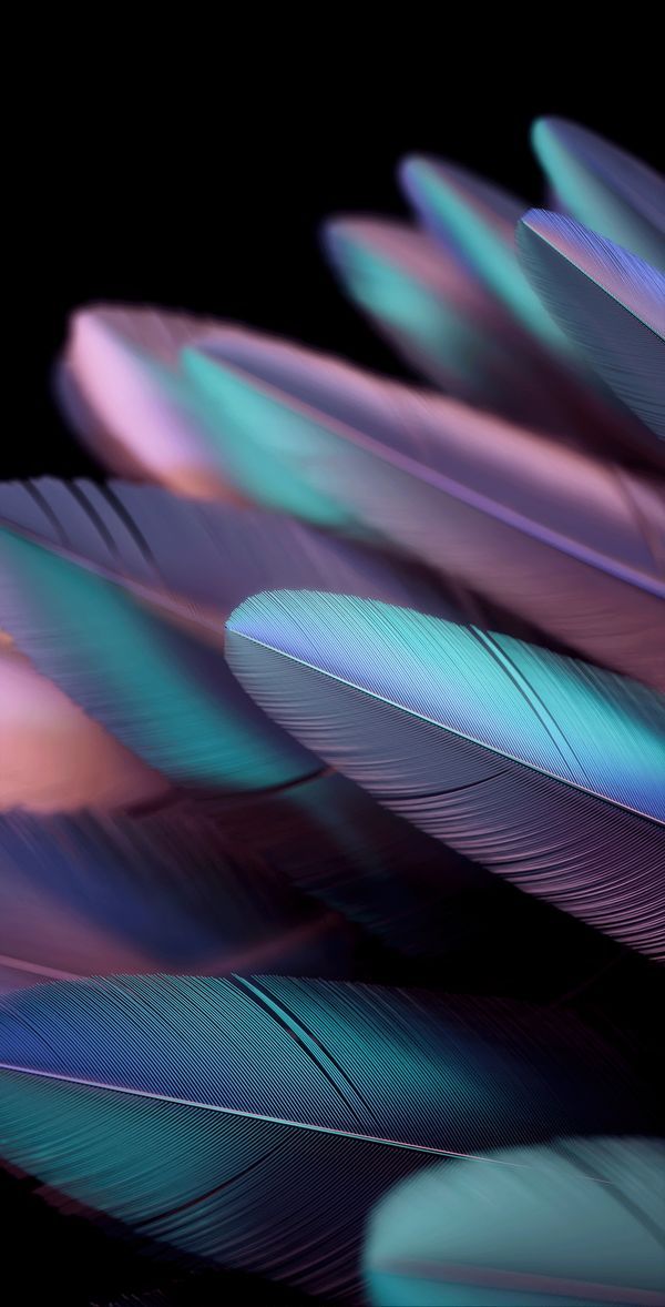 Find wallpaper 2025