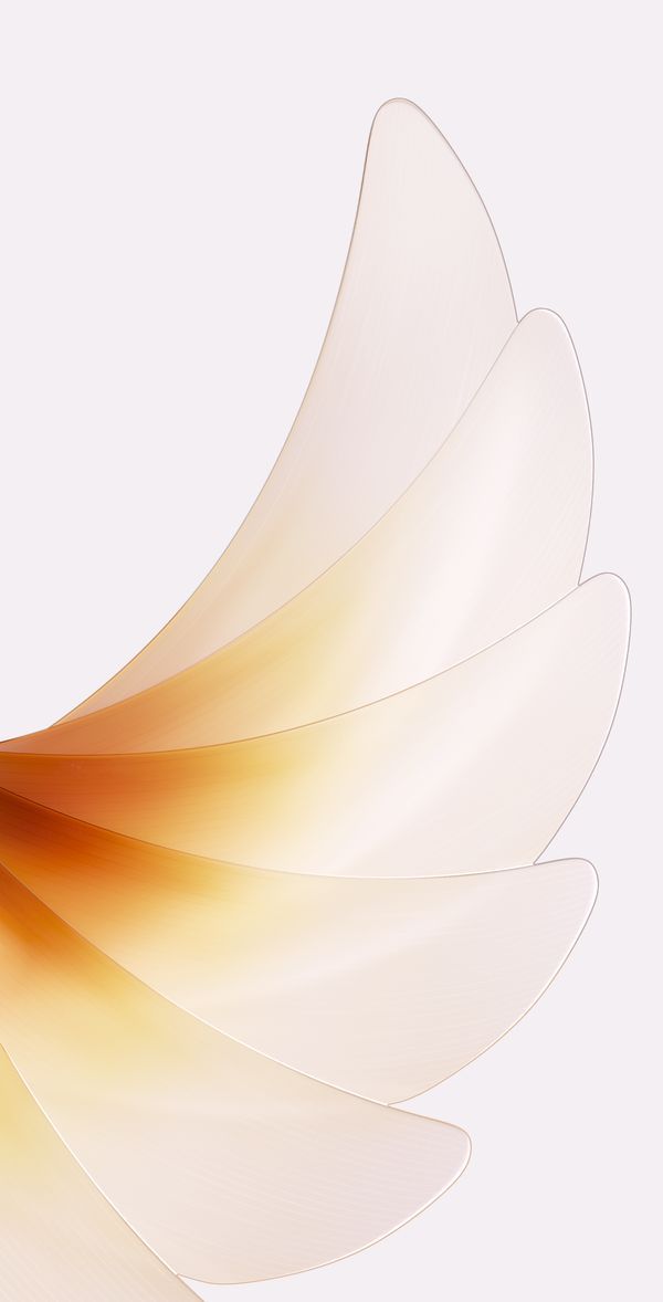 Download all the new Oppo Find N2 series wallpapers here
