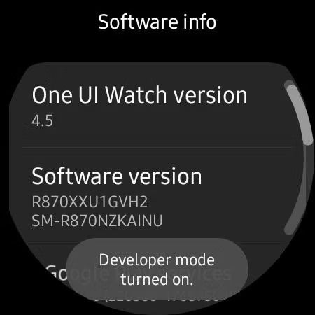 Galaxy-Watch-4-enable-developer-mode-screenshot