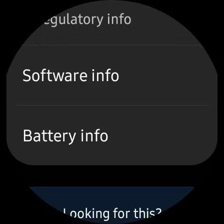 Galaxy-Watch-4-Software-info-screenshot