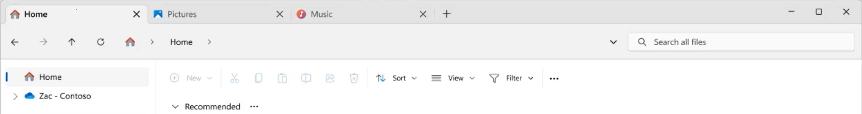 Screenshot of the navigation bar in the Windows 11 File Explorer with file controls below the address bar