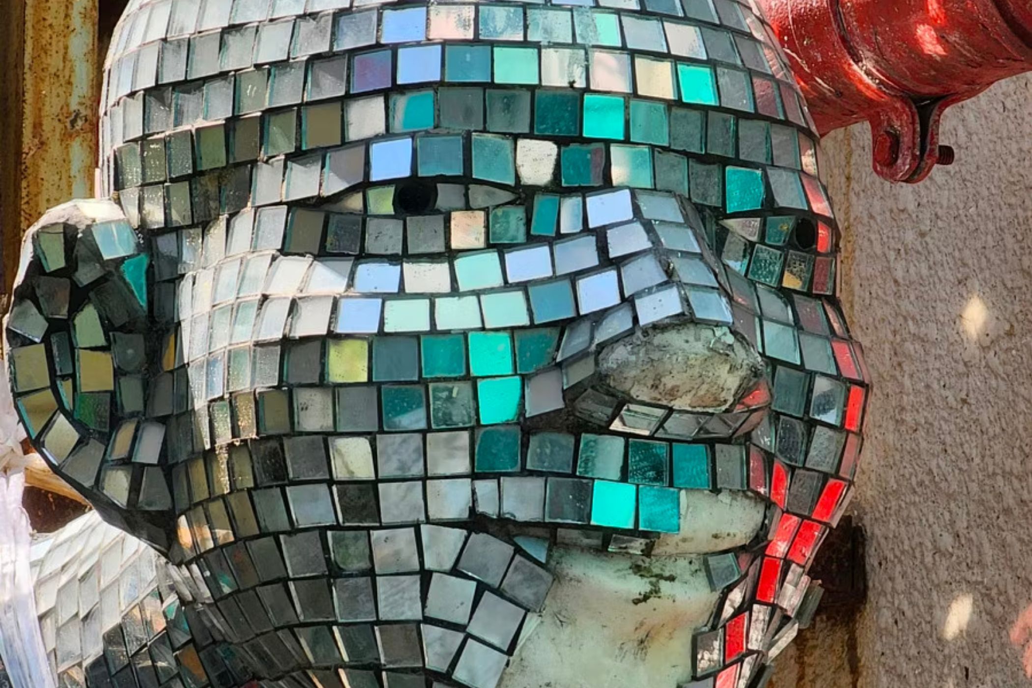 Portrait Mode Galaxy S21 Sample Photos Portrait Mode Samsung S21