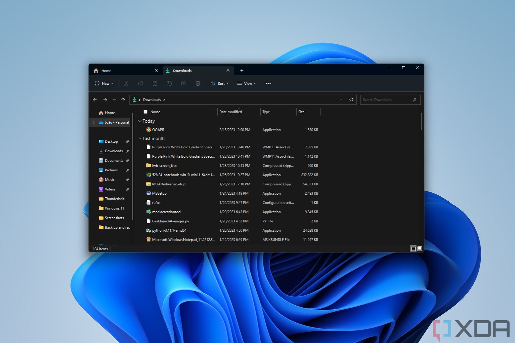 Screenshot of the Windows 11 File Explorer window with two tabs