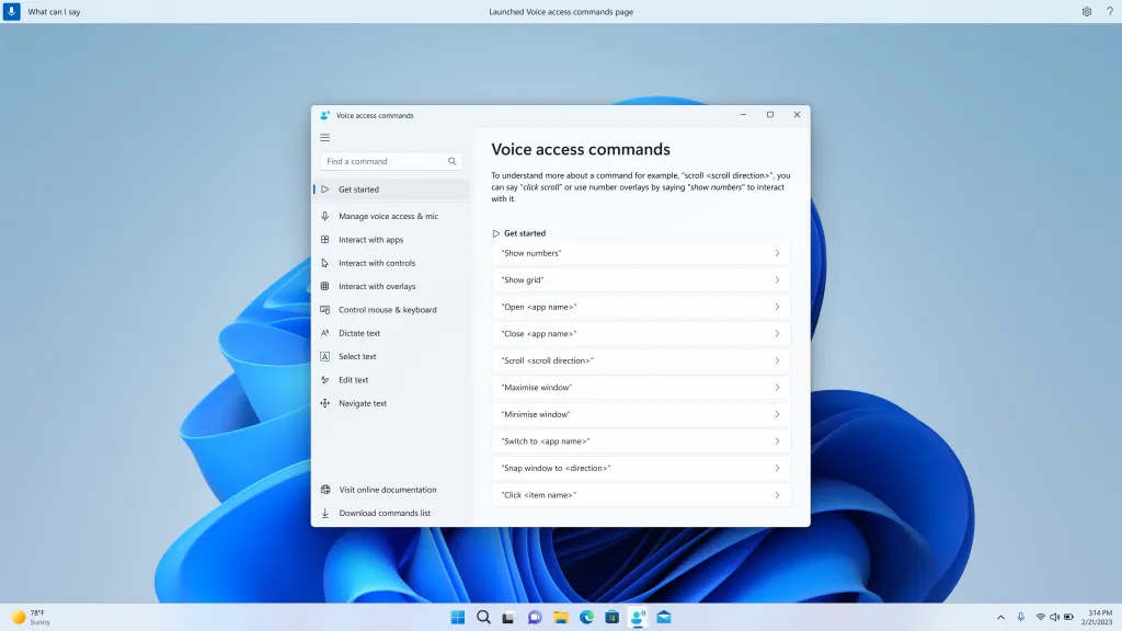 Voice command access command page in Windows 11