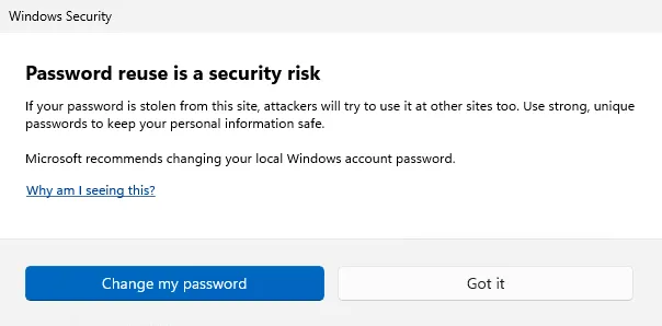 Screenshot fo a security warning displayed when copying and pasting a password in Windows 11
