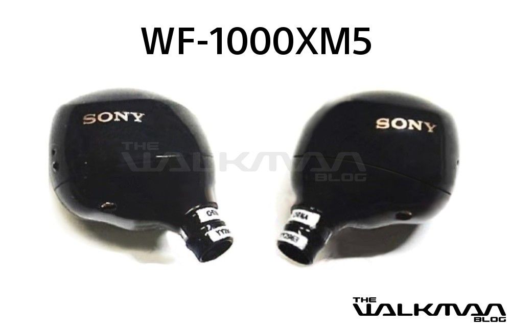 Sony WF-1000XM5 Headphones Black 