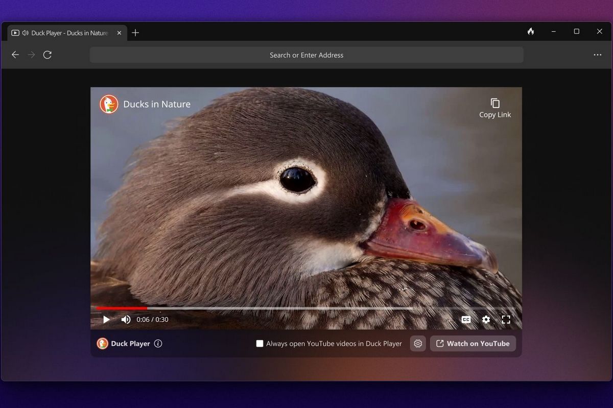 The DuckDuckGo browser on Windows showing the image of a duck