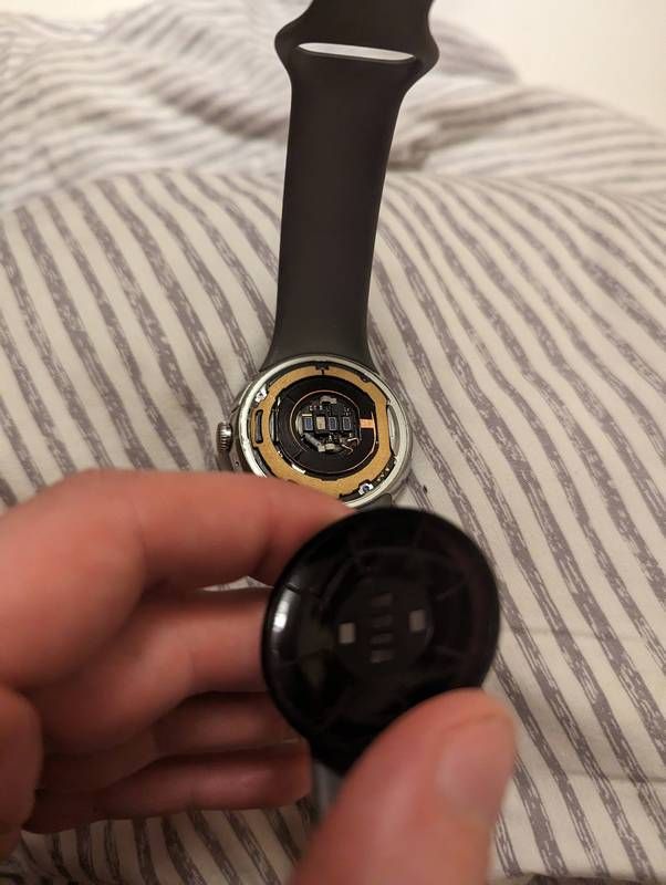 Pixel Watch backplate (4)