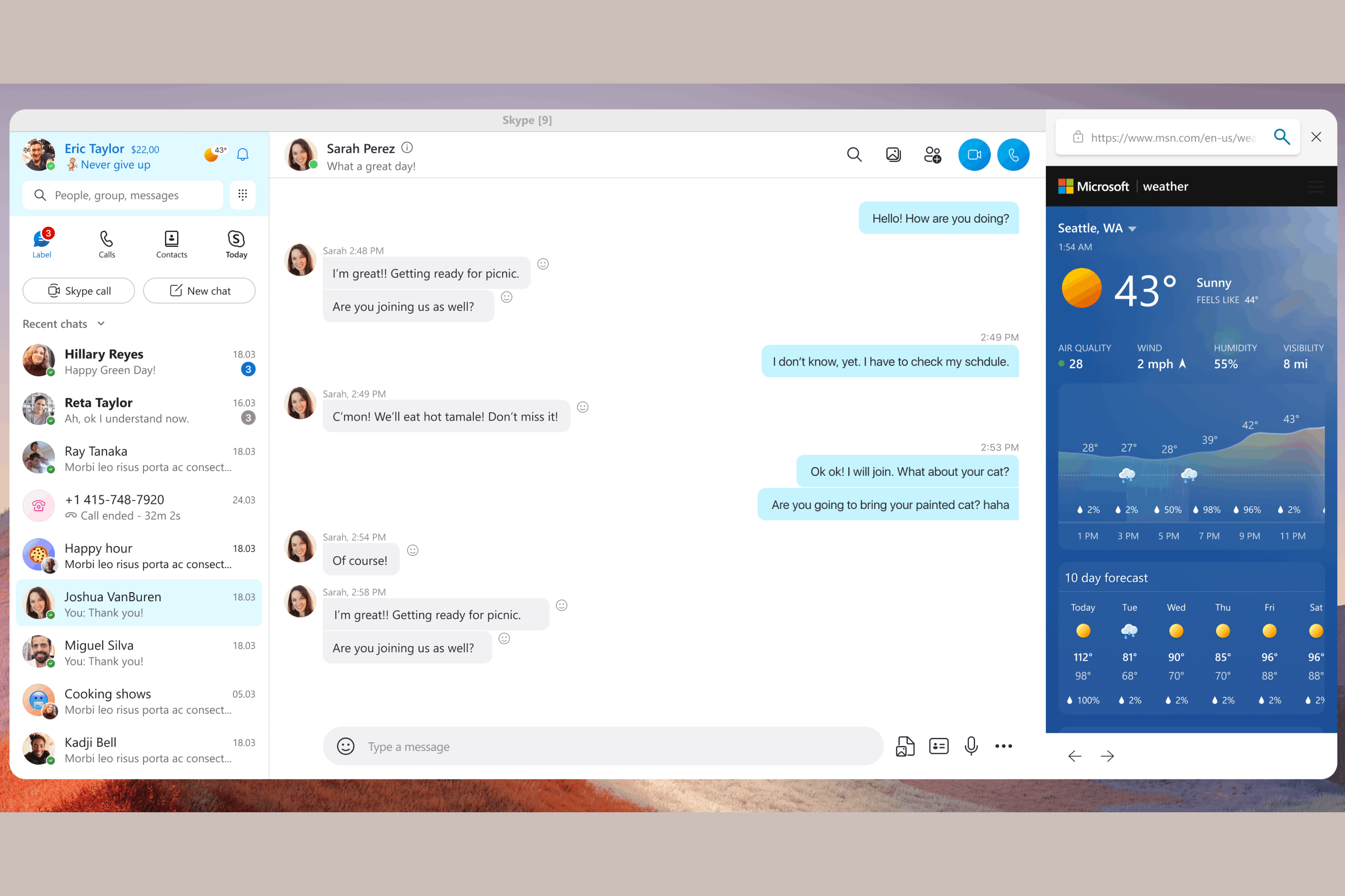 Skype Insider build 8.99 weather in Skype 