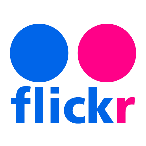 A render showing the Flickr logo over a transparent background.