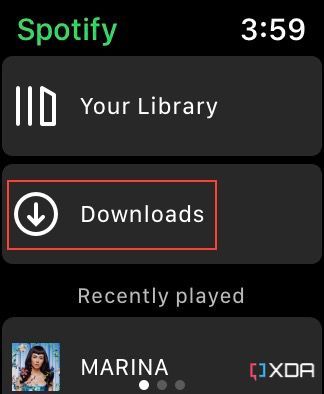 Downloads section on Spotify for watchOS.