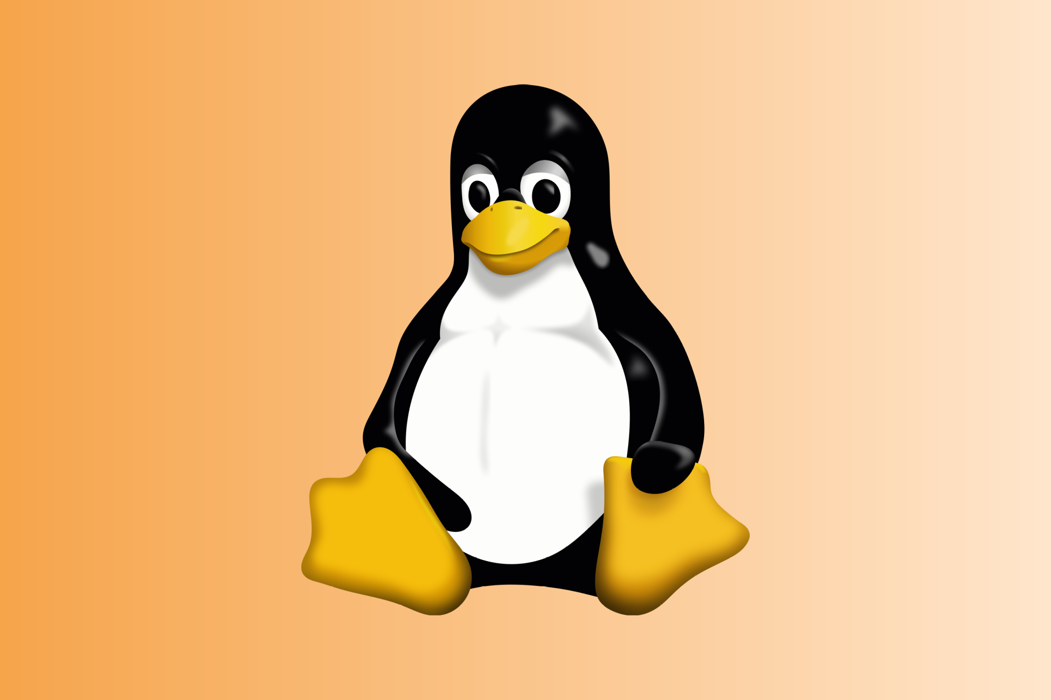Linux Tux.