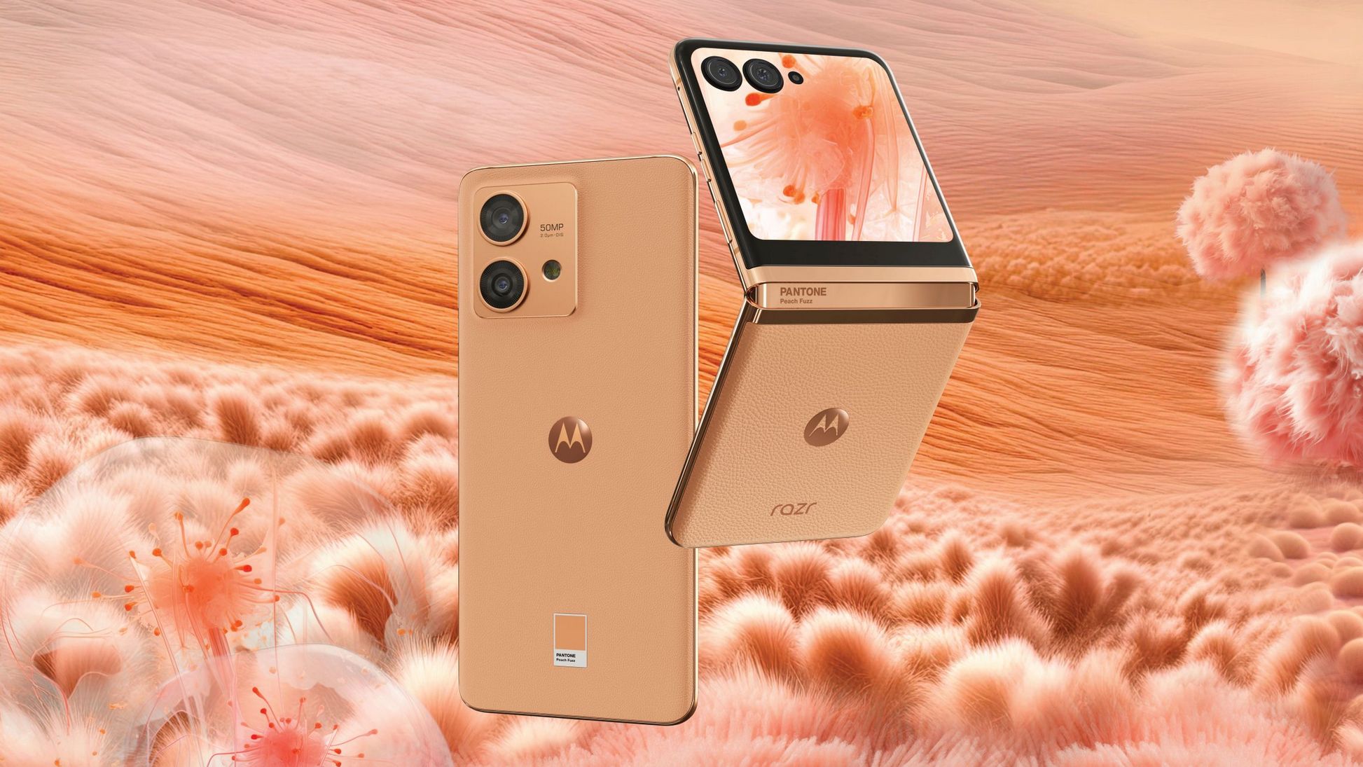 Motorola is the first to launch a phone featuring Pantone’s 2024 Color